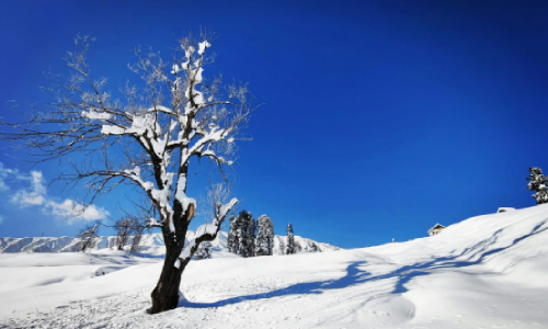 Day 3: Day trip to Gulmarg.