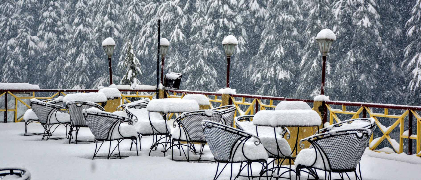 Manali and Shimla- A Dream Escape